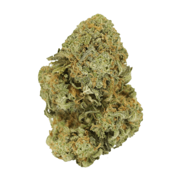 Watermelon Gelato | Kootenay Botanicals Canada