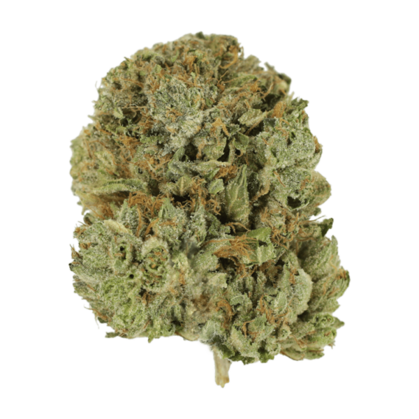 Pink Taco | Kootenay Botanicals Canada