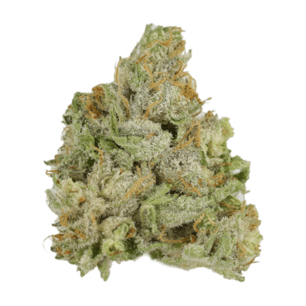 El Jefe | Kootenay Botanicals Canada