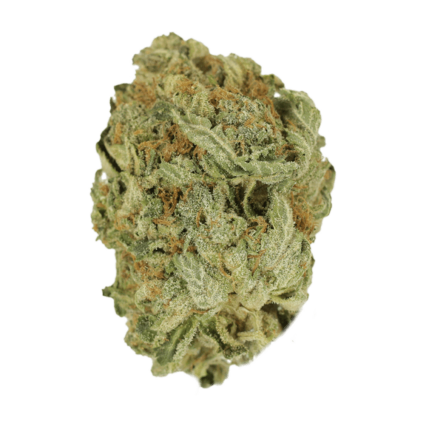 Ghost Bubba | Kootenay Botanicals Canada