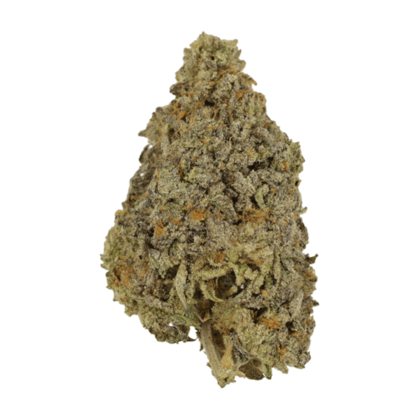 Frosty Gelato | Kootenay Botanicals Canada
