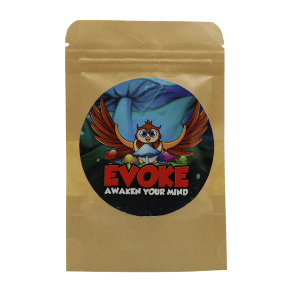 Evoke – Medicinal Mushrooms – Microdose Capsules | Kootenay Botanicals Canada