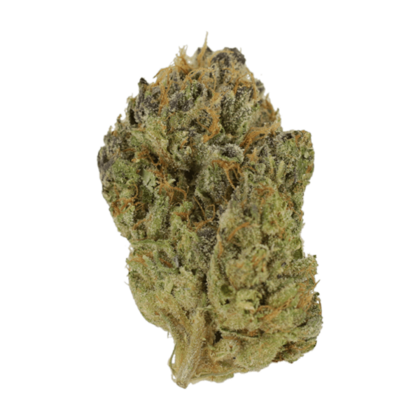 Blueberry Muffin | Kootenay Botanicals Canada