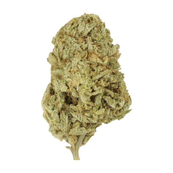 Face Mints | Kootenay Botanicals Canada