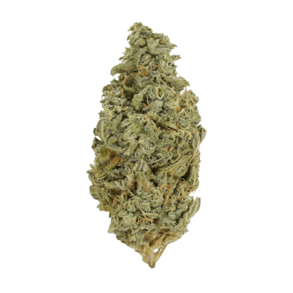 Orange Cookies | Kootenay Botanicals Canada