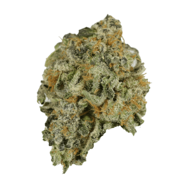 Alien Rock Candy | Kootenay Botanicals Canada