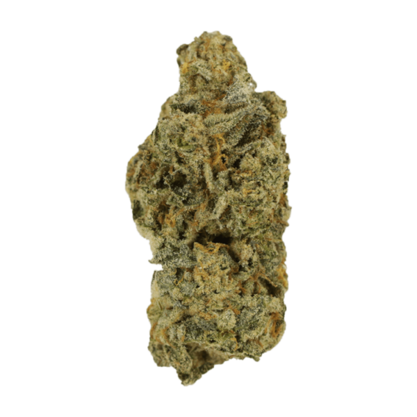 Cinderella 99 | Kootenay Botanicals Canada
