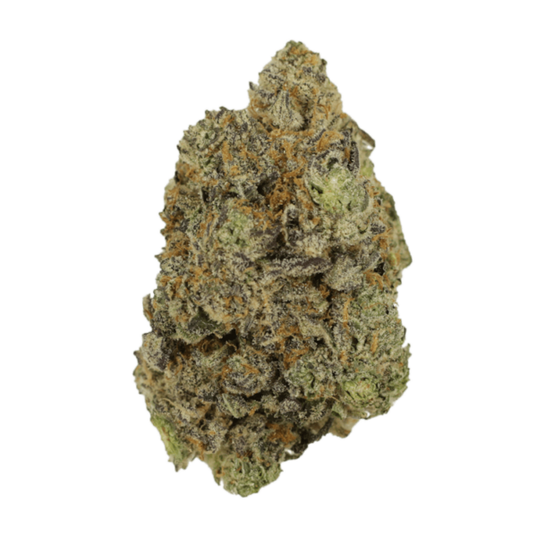 Hash Plant | Kootenay Botanicals Canada