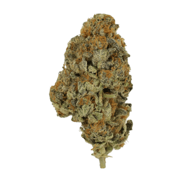 Key Lime Pie | Kootenay Botanicals Canada