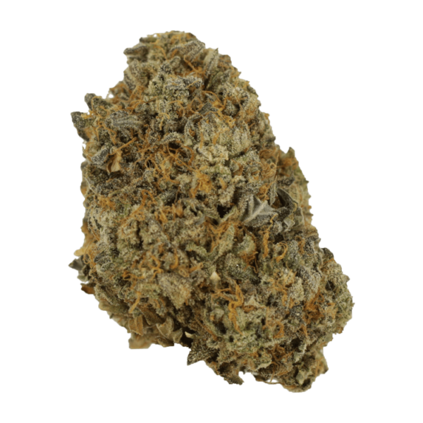 Sherb Quake | Kootenay Botanicals Canada