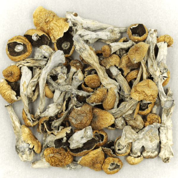Orissa | Kootenay Botanicals Canada
