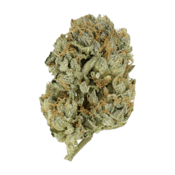 Kashmir Kush | Kootenay Botanicals Canada