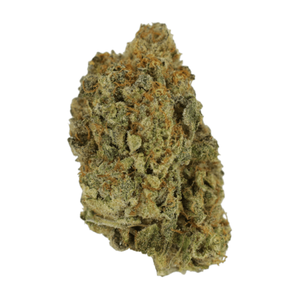 Rainbow Belts | Kootenay Botanicals Canada