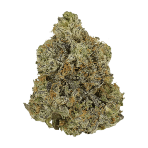 Rockstar | Kootenay Botanicals Canada