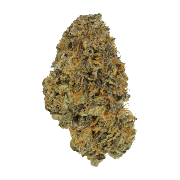 Blackberry Nightmare | Kootenay Botanicals Canada
