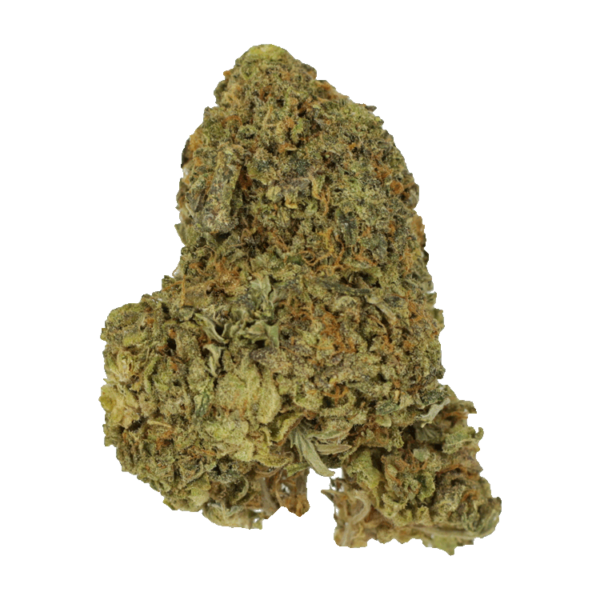 Gorilla Berries | Kootenay Botanicals Canada