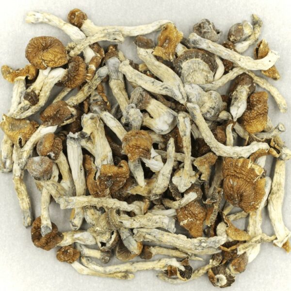 Florida White | Kootenay Botanicals Canada