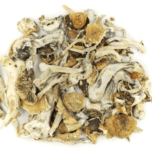 Lizard King | Kootenay Botanicals Canada