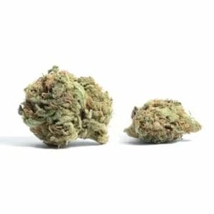 White Truffle (Popcorn) | Kootenay Botanicals Canada