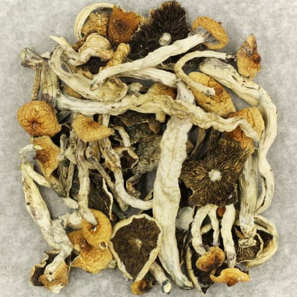 Cuban | Kootenay Botanicals Canada
