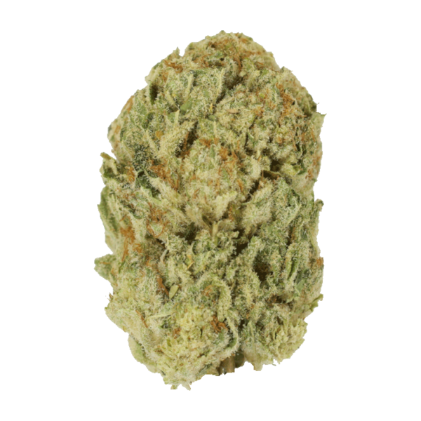 Trap Star | Kootenay Botanicals Canada
