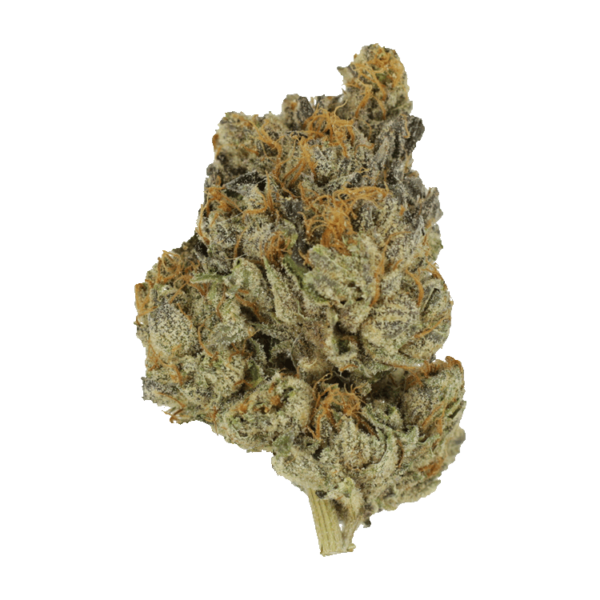 Divorce Cake | Kootenay Botanicals Canada