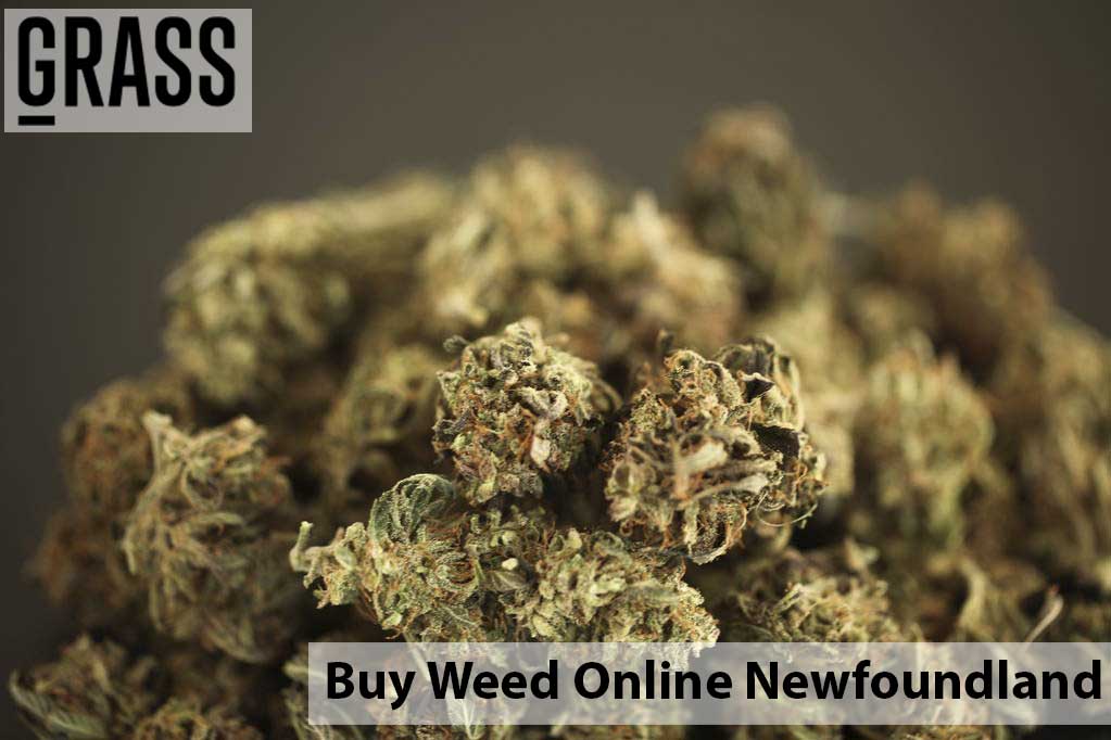 Buy cannabis Online Newfoundland | Kootenay Botanicals Canada | Kootenay Botanicals Canada