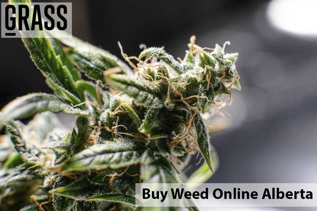 Buy cannabis Online Alberta | Kootenay Botanicals Canada | Kootenay Botanicals Canada