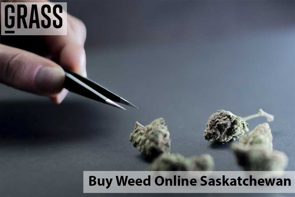 Buy cannabis Online Saskatchewan | Kootenay Botanicals Canada | Kootenay Botanicals Canada