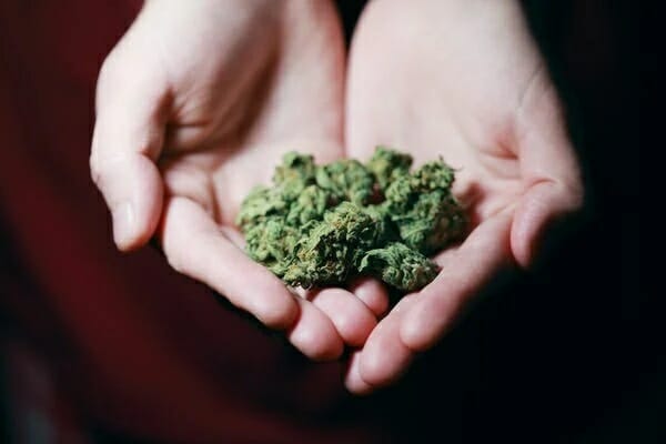 Buy cannabis at the Best Online Dispensary Manitoba | Kootenay Botanicals Canada | Kootenay Botanicals Canada