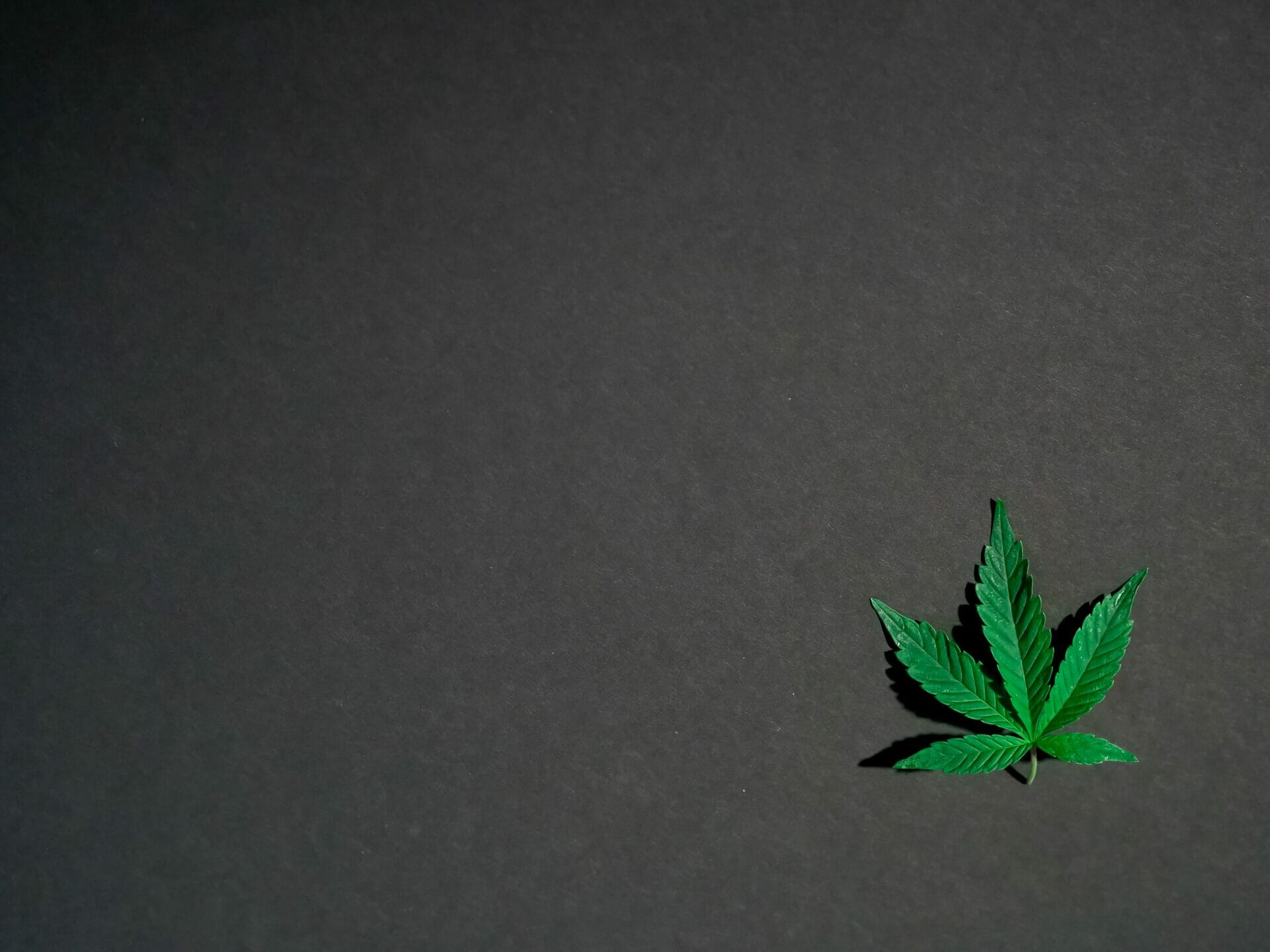 Hybrid - weed | Kootenay Botanicals Canada