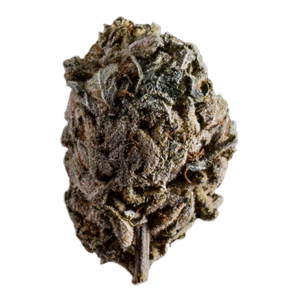 Emergen C | Kootenay Botanicals Canada