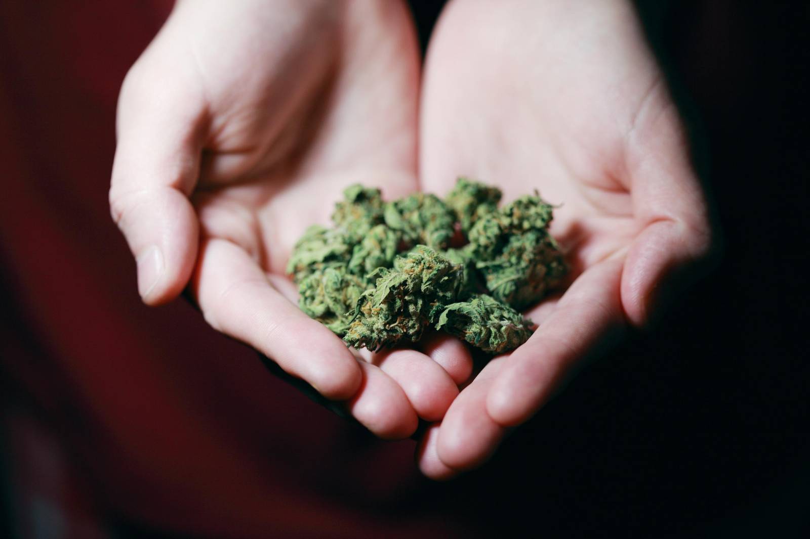Buy cannabis Online | Kootenay Botanicals Canada | Kootenay Botanicals Canada
