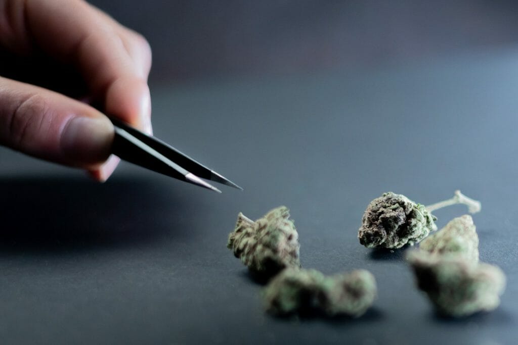 Buy cannabis Online Canada | Kootenay Botanicals Canada