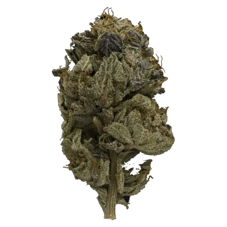 Enjoy the Heavy Indica Effects of Pink Gas Mask Strain | Kootenay Botanicals Canada | Kootenay Botanicals Canada