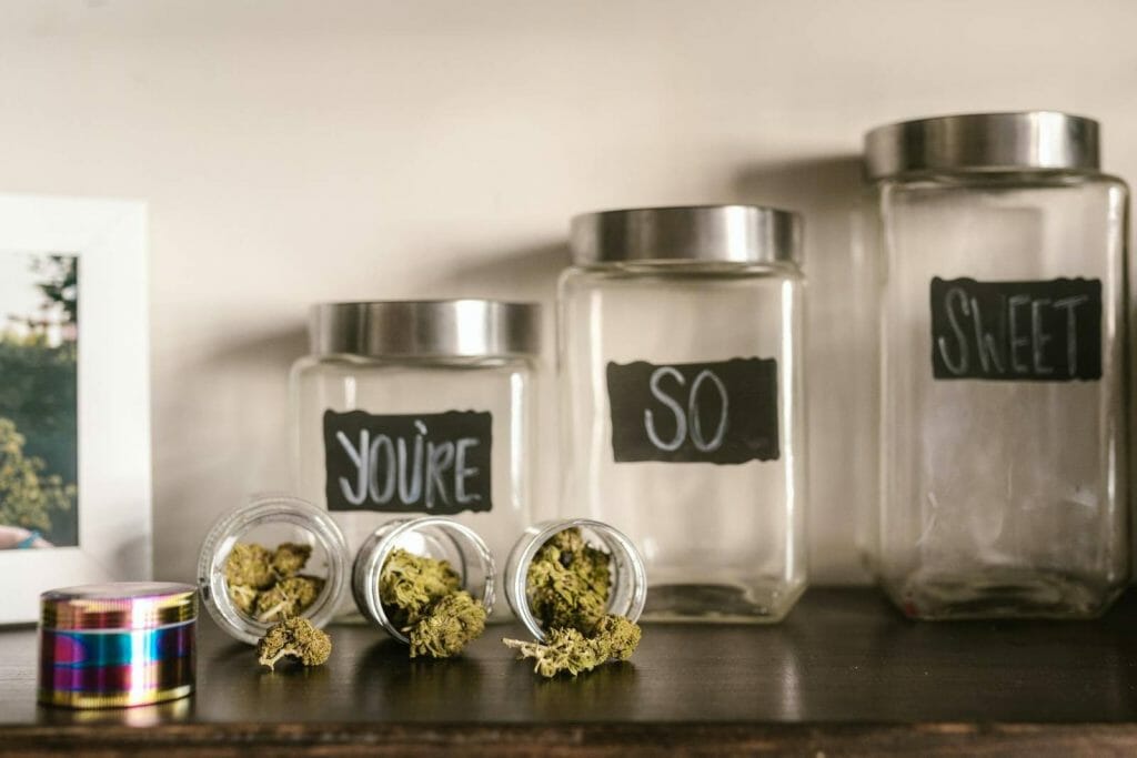 Beyond the Bud: The Role of a cannabis Dispensary in Promoting Wellness | Kootenay Botanicals Canada | Kootenay Botanicals Canada