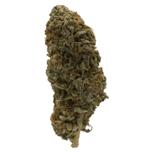 Pinkman Goo | Kootenay Botanicals Canada