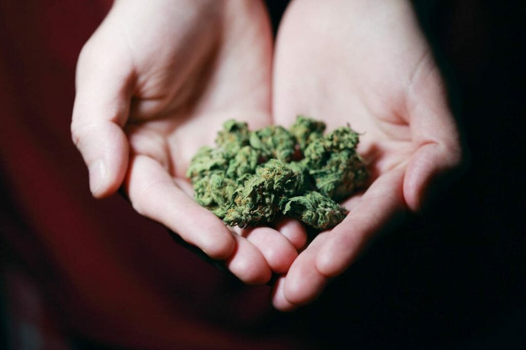 Elevate Your High With The Best Ontario cannabis Strains | Kootenay Botanicals Canada | Kootenay Botanicals Canada
