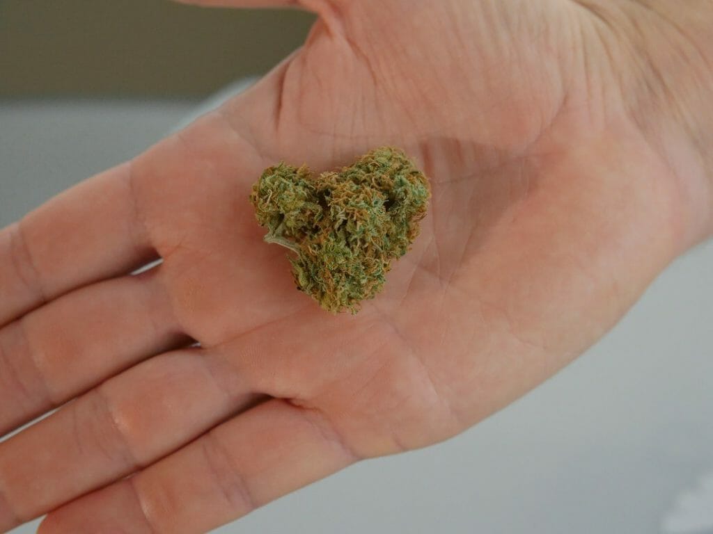 cannabis marijuana Canada | Kootenay Botanicals Canada