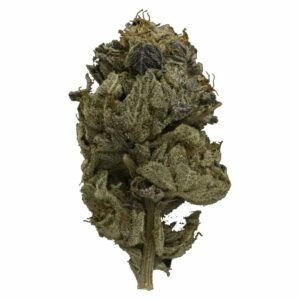 Kootenay Botanicals Canada - Pink Gas Strain | Kootenay Botanicals Canada