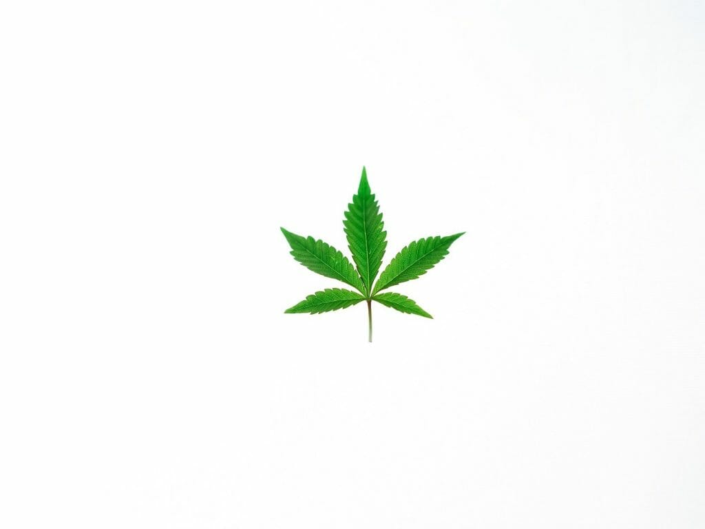 Benefits of Shopping in a BC cannabis Online Dispensary | Kootenay Botanicals Canada