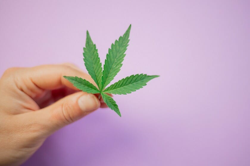 Kootenay Botanicals Canada: Your One-Stop Shop for Premium cannabis Products | Kootenay Botanicals Canada