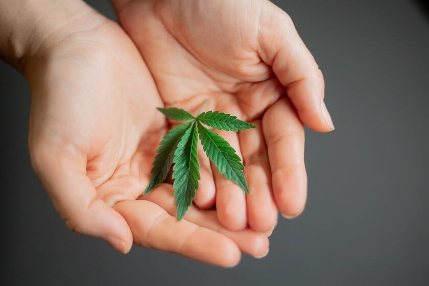 Kootenay Botanicals Canada - Hybrid cannabis Strains | Kootenay Botanicals Canada