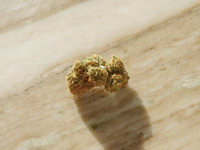 Grasslife cannabis Strains in Canada | Kootenay Botanicals Canada