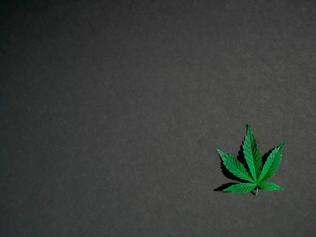 Hybrid Weed | Kootenay Botanicals Canada