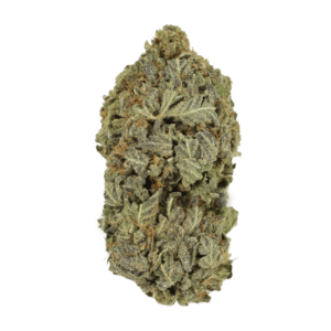 Purple Mimosa | Kootenay Botanicals Canada