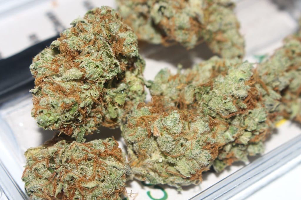 Hybrid cannabis Strains | Kootenay Botanicals Canada
