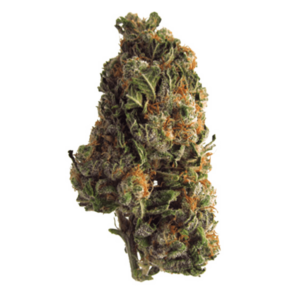 Grape Crush | Kootenay Botanicals Canada