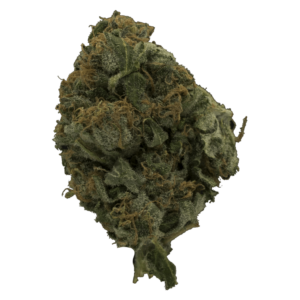 Glitter | Kootenay Botanicals Canada
