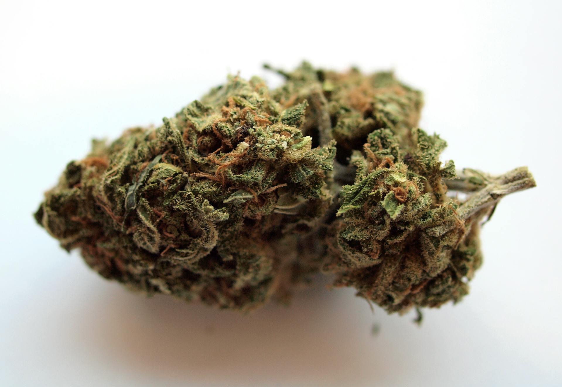 Buy cannabis online | Kootenay Botanicals Canada